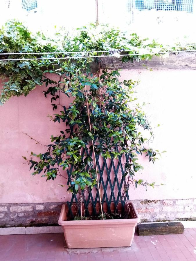Biennale Flat * Venecia